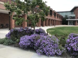 Bucks County Community College